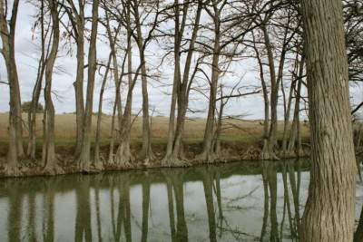 TEXAS-BANDERA CREEK7.JPG